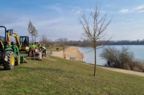 En bref : A Norge et Tille, on plante des arbres